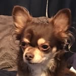 Ryan Withrow - @rynwit - Instagram