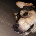 Ryan Wittenborn - @ryan.wittenborn - Instagram