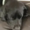Ryan.Witz - @ryan.witz - TikTok