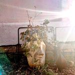 Ryan Dieter Egon Wohlberg - @ryan.wohlberg - Instagram