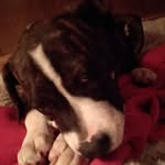 Ryan Wolbert - @r.j.w.3159 - Instagram
