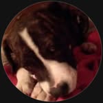 Ryan Wolbert - @r.j.w.3158 - Instagram