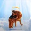 ryanewulff - @ryanewulff - TikTok