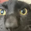RyanWethh - @ryanwethh - TikTok
