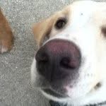 Yeller Ryan Eanes - @yellerryan - Instagram