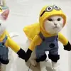 ryan yonka - @ryan_yonka - TikTok