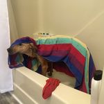 Ryan T Ridley - @ryan_york_rocks_ - Instagram