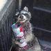 Ryan York - Facebook
