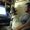 ryanscottzimbro - @ryan.scott.zimbro - TikTok