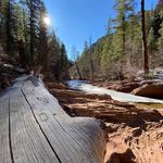 Ryan Zimmer - @ryanzimmeraz - Instagram