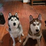 Ryan Zirkle - @eruthar1106 - Instagram