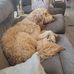 Ryan Zirkle - Facebook