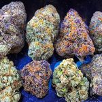 Ryanzooky - @ryanzooky - Instagram