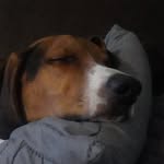 Ryder Bray Barrier - @ryder_barrier07 - Instagram