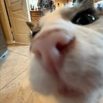 Ryder bullock - @ryder1124674385 - Instagram
