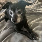 Ryder Bullock - Facebook