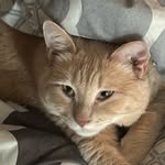 Ryder Robinson - @ryder_g_robinson - Instagram