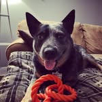 Ryder Robinson - @ruff_ryder1101 - Instagram