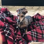 Ryker Lange - @langeryker - Instagram