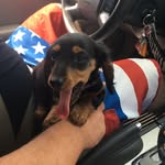 Rylee Brooks - @rylee_lynn_brooks - Instagram