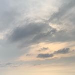 rylee - @_ryleecook - Instagram