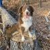 Rylee Cook - Facebook