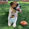 Rylee Cooper the Boxer - @ryleecooperblooper - TikTok