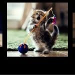 Rylee Edgell - @rylee_softball33 - Instagram