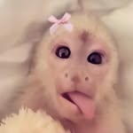 Rylee king - @ryleeking777 - Instagram