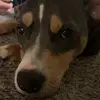 ryleeking_ - @ryleeking_ - TikTok