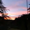 Rylee Moore - @ryleee.mooree - TikTok