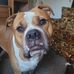 Ryley Smith - Facebook