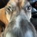 Ryley Smith - Facebook