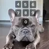ryliecollins65 - @ryliecollins5 - TikTok