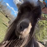 Rylee Hebert - @ryleehebert - Instagram