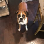 Rylee Hebert - @ryleehebert8 - Instagram