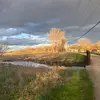 RyneSandberg23 - @rynesandberg23 - TikTok