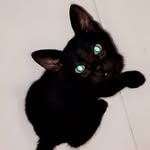 RYU CHAN - @ryuk_meowsatmidnight - Instagram