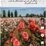 Saad Akmal - Facebook