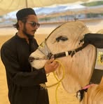 Saad Arif - Facebook