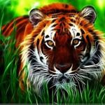 Saad ather - @s.ather - Instagram