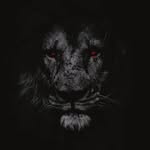 Saad EL Hyani - @saad_el_n13 - Instagram