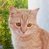 Saad Farid - @saaaduuuu - TikTok