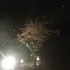 Saad_Farid - @saad_farid1 - TikTok