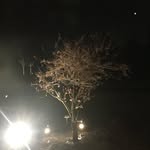 Saad - @saad__farid__ - Instagram