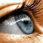 Saad Ghazi - @saad.ghazi.7 - Instagram