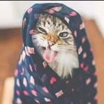 Saad Haider - @saad_haider123 - Instagram