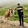 SAADi - @saadhaider54 - TikTok