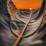 saad le houri - @saadlehouri - Instagram