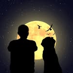 Saad Iqbal - @khansaadii50 - Instagram